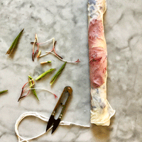 Natural Dyeing Workshop with Maggie Pate, Color Steam