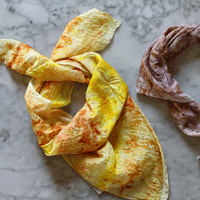 Natural Dyeing Workshop with Maggie Pate, Color Steam