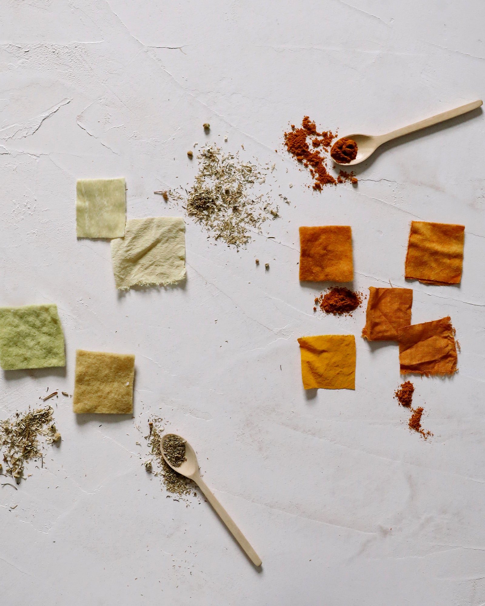 Natural Dyeing Workshop with Maggie Pate, Capturing Color with Plant Extracts