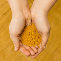 "Nature's Paint" Aurum Goods Natural Dyeing Workshop