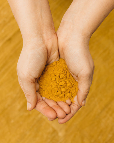 "Nature's Paint" Aurum Goods Natural Dyeing Workshop