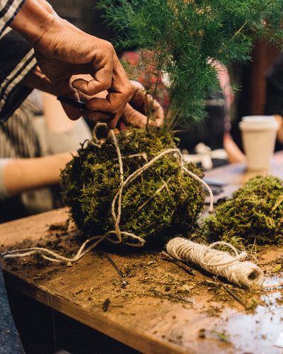 "Living Vessels" Kokedama Workshop
