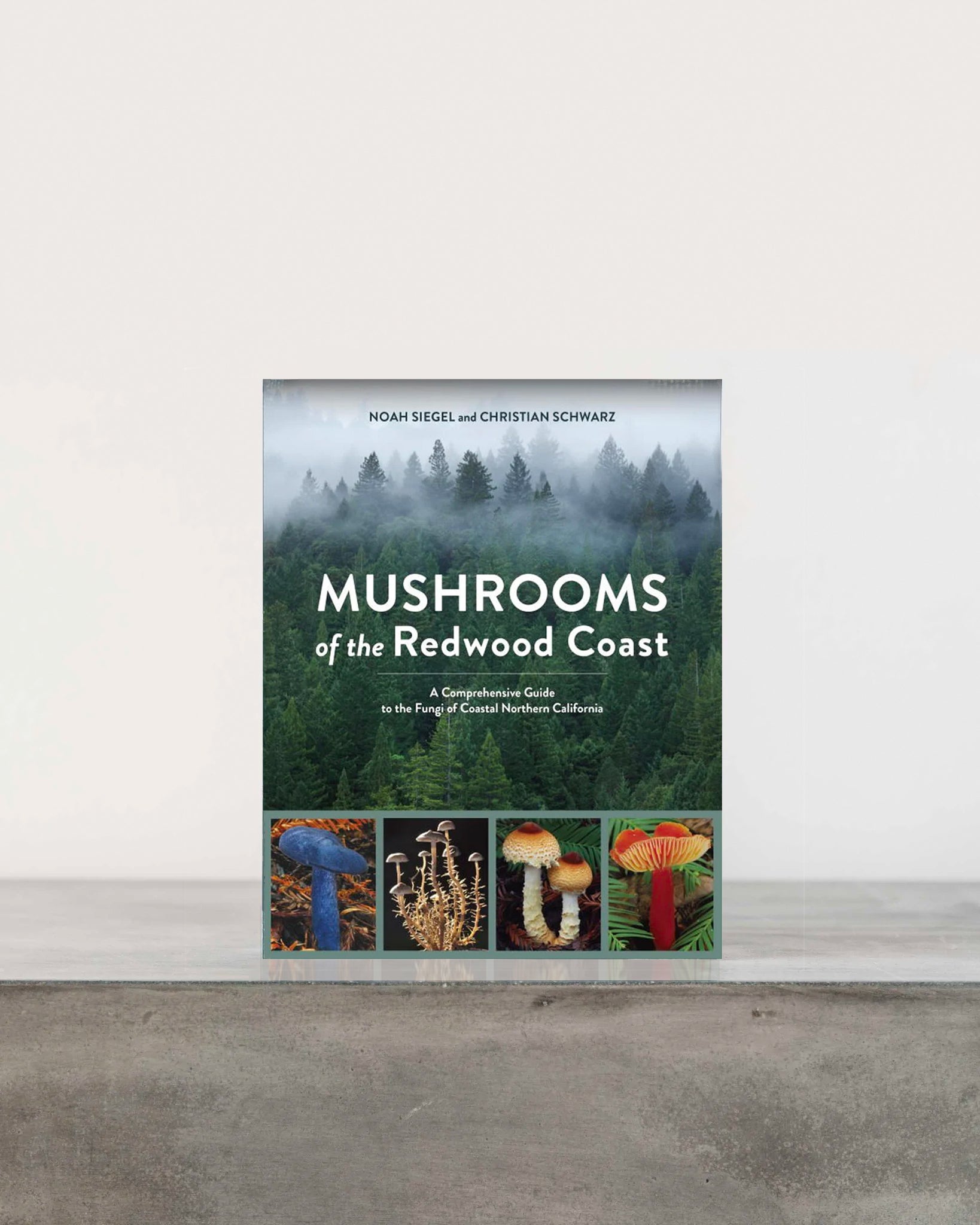 Intro to Mushrooms