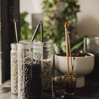 Terrarium Workshop