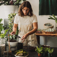 Terrarium Workshop