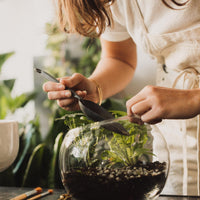 Terrarium Workshop