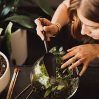 Terrarium Workshop