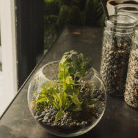 Terrarium Workshop