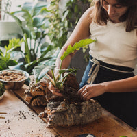 Plant Mounting Workshop