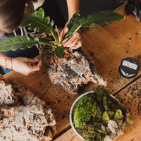 Plant Mounting Workshop