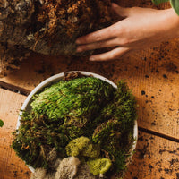 Plant Mounting Workshop