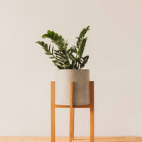 Berlin Pot with Wood Stand