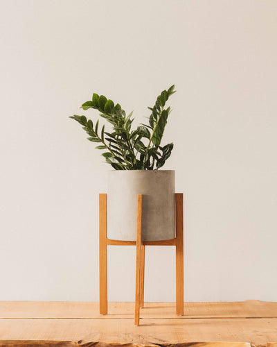 Berlin Pot with Wood Stand