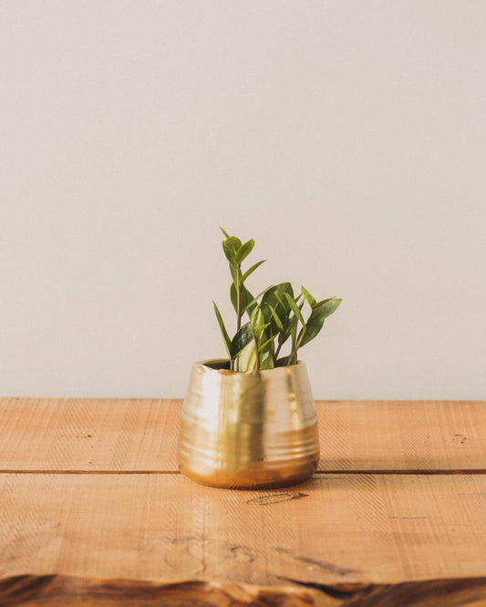 Tegan Pots, Matte Gold