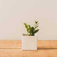 Haus Cube Pot, White