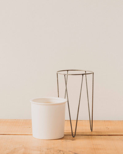 Cassa Plant Stand