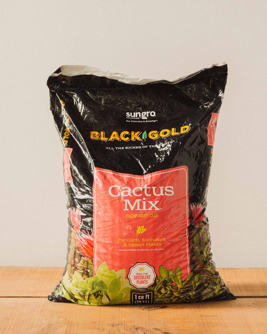 Black Gold Cactus Mix Potting Soil