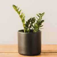 Modern Cylinder Pot, Black