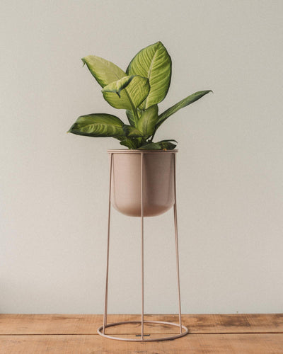 Celeste Plant Stand