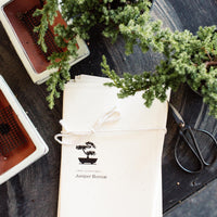 Intro to Bonsai Workshop