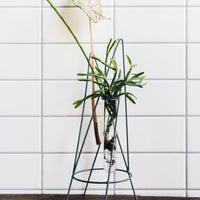 Greenhouse Plant Swap