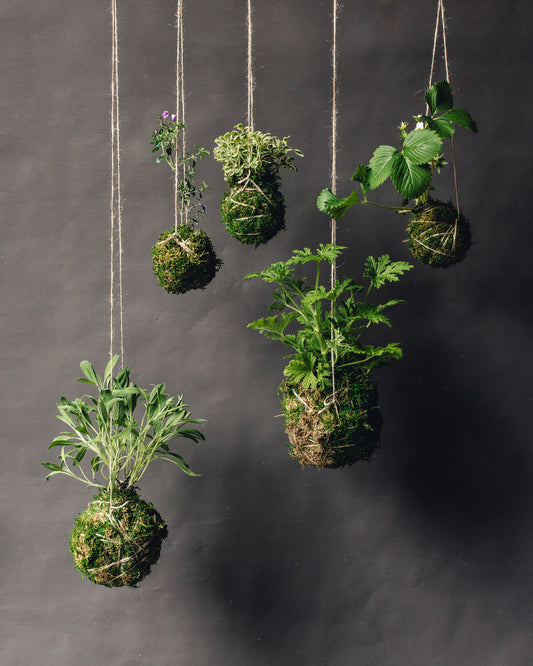 Kokedama Workshop, Living Vessels