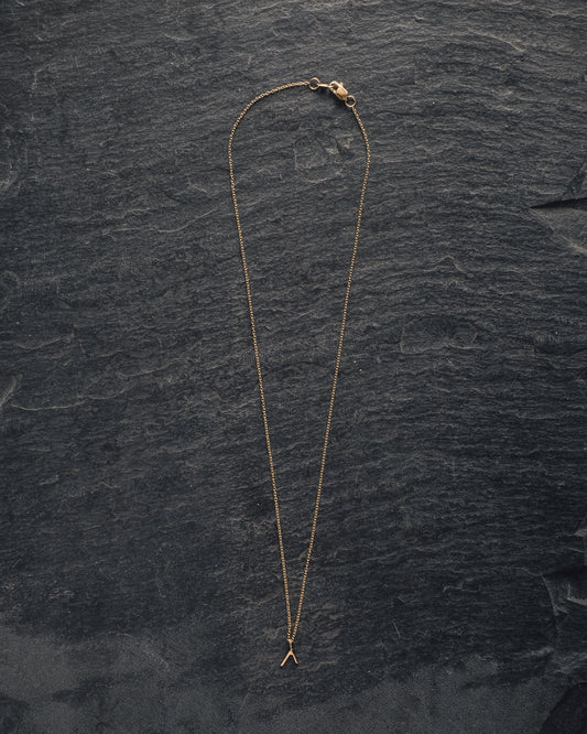 Another Feather 14k Small Dart Necklace