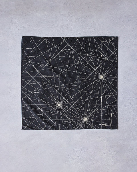Engineered Garments｜ (Printed Bandana B - Black - Gecko Printed Bandana in Black Gecko – Blue Owl Workshop