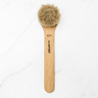 Face Brush, Wet