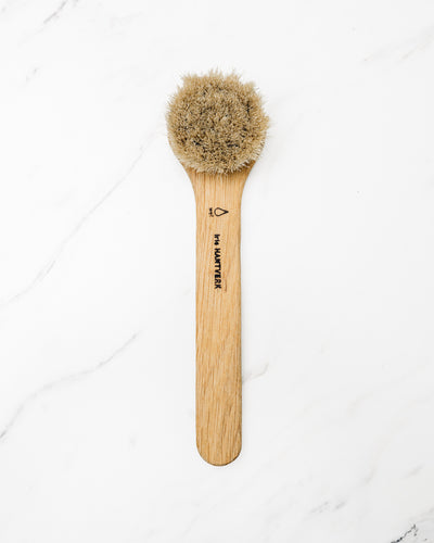 Face Brush, Wet