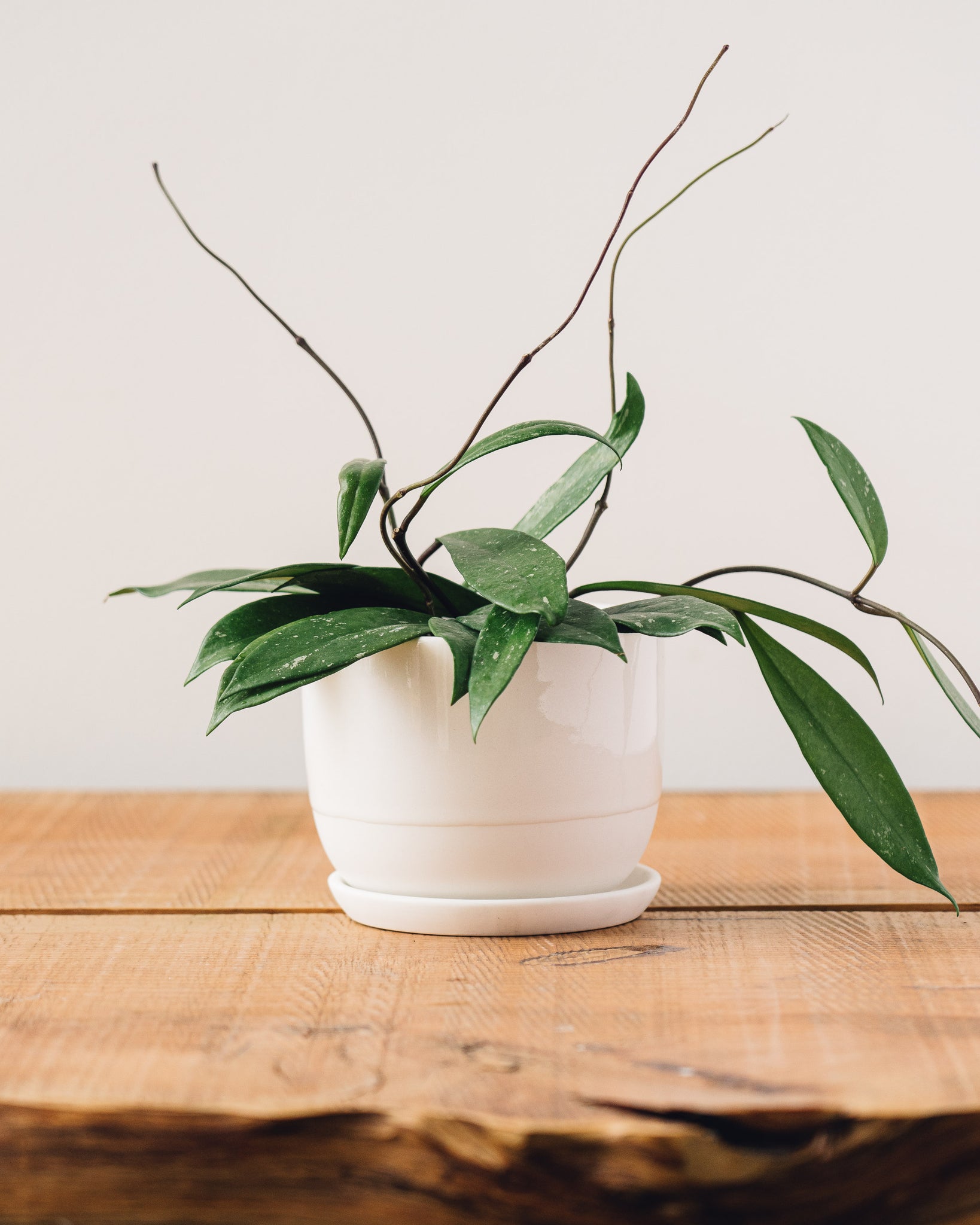 Kinto Plant Pot 193, White