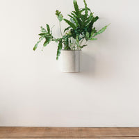 Logan Ceramic Hanging Wall Pot