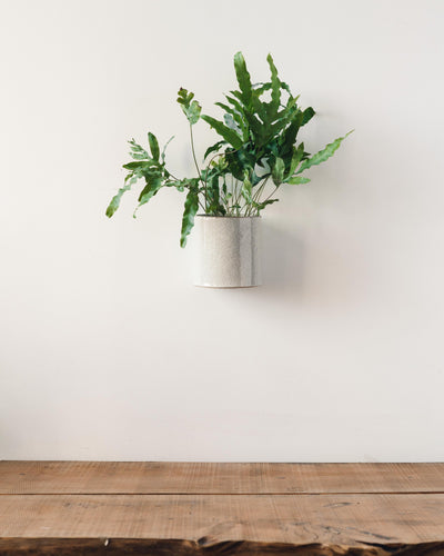 Logan Ceramic Hanging Wall Pot