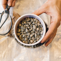 Concrete Planter Workshop, Stone and Water