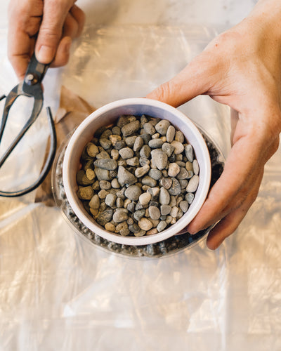 Concrete Planter Workshop, Stone and Water