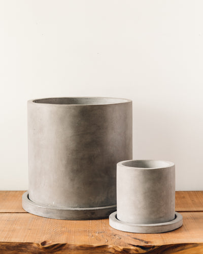 Marta Concrete Pot