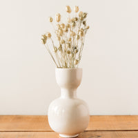 Nigella Pods Bunch, Bleached