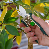 Houseplant Pruner