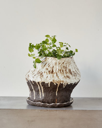 Jojo Corväiá Carved Ceramic Planter with Saucer, V-1127