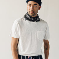 Kapital Dragonfly Stole