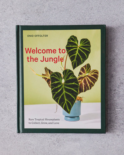 Welcome to the Jungle by Enid Offolter