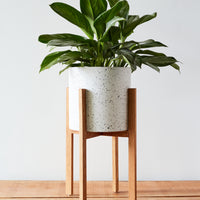 Dale Terrazzo Planter + Stand