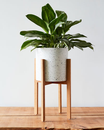 Dale Terrazzo Planter + Stand