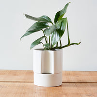 Jett Pot, White